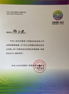 9620681